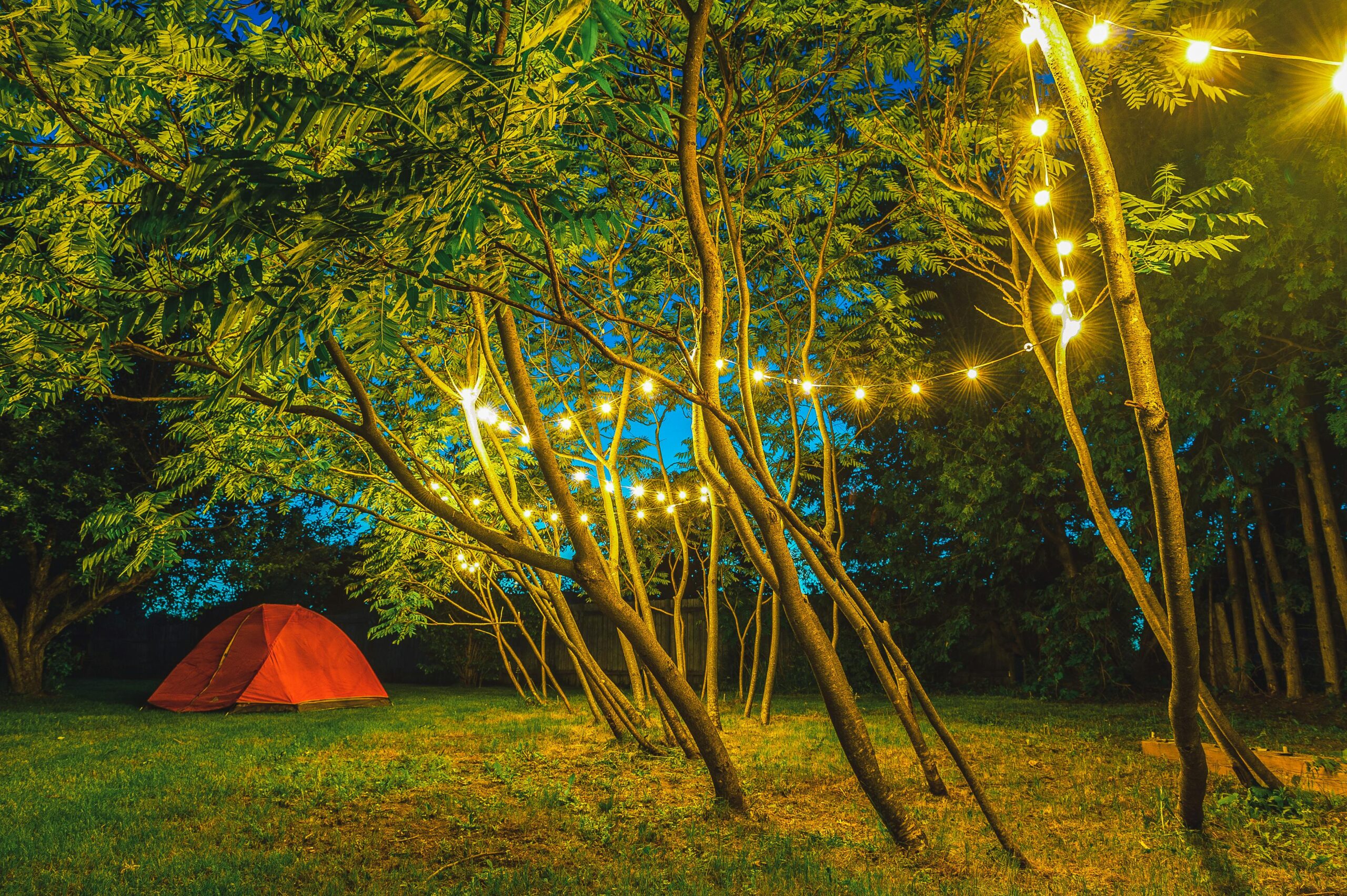 Salida escolar: cómo Jackery facilita tu campamento